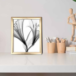 Wallity Cuadro Decorativo Enmarcado ACT-036 Multicolor